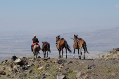 Pożegnanie koni z „naszej” karawany – w tle Wyżyna Armeńska