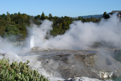 Gejzery, gorące błota, wrzące źródła i inne geotermalne atrakcje na terenie parku Te Puia w mieście Rotorua