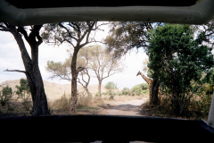 Widok z samochodu podczas safari