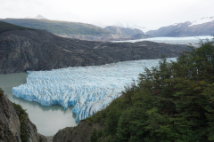 Czoło lodowca Grey - jednego z 49 lodowców spływających z Lądolodu Patagonii Południowej