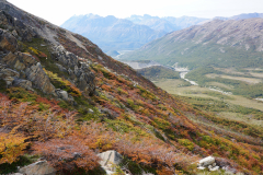 Patagońskie kolory jesieni – panorama ze szlaku pod Fitz Roya