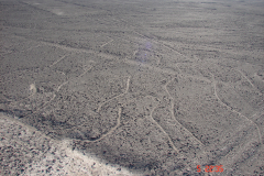 Prekolumbijskie geoglify wyryte na pustynnym płaskowyżu Nazca