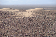 Pustynia żwirowa zwana też hamada w północnej części Sahary